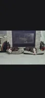 Drago, a male American Pit Bull Terrier for sale in East Stroudsburg, PA – 7 of 7