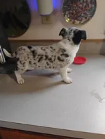 processed/e0dc9226-e891-4e79-aa2a-96606f41b7af/listing/1dba1bb6-118a-49dc-a19f-937057113dcc/3423160d-4dcd-4778-92d5-1c8e96dbbdba