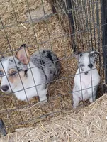 processed/e0dc9226-e891-4e79-aa2a-96606f41b7af/listing/1dba1bb6-118a-49dc-a19f-937057113dcc/3e32d498-6335-422e-8d93-0af7ee11a8b4