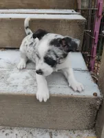 processed/e0dc9226-e891-4e79-aa2a-96606f41b7af/listing/1dba1bb6-118a-49dc-a19f-937057113dcc/b059910d-b4e8-455d-8fe9-95c5dbd37d0a