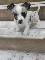 processed/e0dc9226-e891-4e79-aa2a-96606f41b7af/listing/1dba1bb6-118a-49dc-a19f-937057113dcc/b7eecabc-fb04-4e17-8c09-0b9ca95e049f