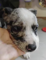 processed/e0dc9226-e891-4e79-aa2a-96606f41b7af/listing/1dba1bb6-118a-49dc-a19f-937057113dcc/caeb5d85-2958-4bdf-b1bf-8aadb7dc4b22