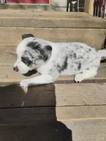 processed/e0dc9226-e891-4e79-aa2a-96606f41b7af/listing/1dba1bb6-118a-49dc-a19f-937057113dcc/e4000678-5105-4ce4-aea0-1456f5b35290