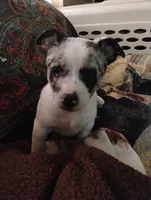 processed/e0dc9226-e891-4e79-aa2a-96606f41b7af/listing/1dba1bb6-118a-49dc-a19f-937057113dcc/f7e98e50-96a9-435a-963f-132223aa2b09