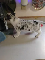 processed/e0dc9226-e891-4e79-aa2a-96606f41b7af/listing/1dba1bb6-118a-49dc-a19f-937057113dcc/fc03c592-7bb1-4979-926b-087bd20a0fbc