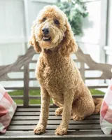 processed/e0dc9327-a099-411b-9d5a-d81cd14602c2/listing/f9a807a7-94e6-4072-a24d-d82d9ed6bbf7/130feb11-fdd0-4961-b654-13a5c486e057