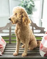 processed/e0dc9327-a099-411b-9d5a-d81cd14602c2/listing/f9a807a7-94e6-4072-a24d-d82d9ed6bbf7/688920ca-8a39-490b-8917-b6b2cb0a5677