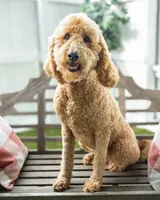 processed/e0dc9327-a099-411b-9d5a-d81cd14602c2/listing/f9a807a7-94e6-4072-a24d-d82d9ed6bbf7/81dea8d9-7b08-45be-878c-e9356c567b7e