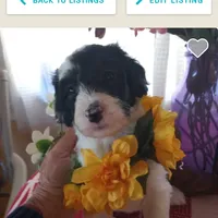 processed/e0e42e4f-427e-4528-9a3c-e7da1a3dc59b/facility/55e28f44-95a4-4900-bb5c-60de78638bc1