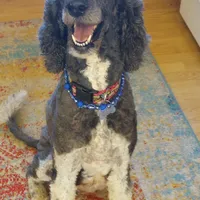 processed/e0e42e4f-427e-4528-9a3c-e7da1a3dc59b/facility/6b85a3c8-e006-40af-b97c-fff336fcb782