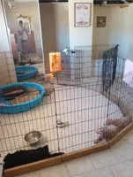 processed/e0e42e4f-427e-4528-9a3c-e7da1a3dc59b/facility/a3b03157-42b2-4c79-9625-b0c41496ee6d