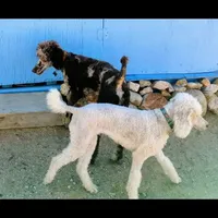 processed/e0e42e4f-427e-4528-9a3c-e7da1a3dc59b/facility/bf11b4f2-147f-478b-864f-c8f7974615e6