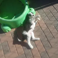 processed/e0e42e4f-427e-4528-9a3c-e7da1a3dc59b/facility/d8746868-c90b-4411-9e44-5b2ddc0d2814