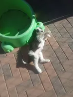 processed/e0e42e4f-427e-4528-9a3c-e7da1a3dc59b/facility/d8746868-c90b-4411-9e44-5b2ddc0d2814