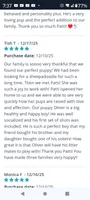 Oakley,a real teddy bear!on leash!pls text only,pls read profile!, a male Old English Sheepdog and Sheepadoodle for sale in Apple Valley, CA – 7 of 7