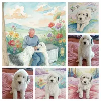 Diva,blue eye,extremely smart,pls text me!!pls read ad profile!!, a female Old English Sheepdog and Sheepadoodle for sale in Apple Valley, CA – 4 of 10