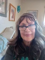 Sunbeam,showoff golden boy!! Pls text only!!, a male Sheepadoodle and Poodle - Standard  for sale in Apple Valley, CA – Photo 10 of 10