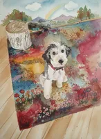 Honeybee, a female Sheepadoodle for sale in Apple Valley, CA – Photo 8 of 9