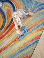 processed/e0e42e4f-427e-4528-9a3c-e7da1a3dc59b/listing/95fac367-75b9-4ccd-bdc3-71f94d892ea4/20af2359-b35a-4ed7-b90f-c925804baa81