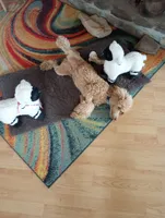 processed/e0e42e4f-427e-4528-9a3c-e7da1a3dc59b/listing/95fac367-75b9-4ccd-bdc3-71f94d892ea4/720f93d4-7d0e-4191-bed4-0a2da0a5f528