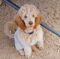 processed/e0e42e4f-427e-4528-9a3c-e7da1a3dc59b/listing/95fac367-75b9-4ccd-bdc3-71f94d892ea4/d88752d4-7fdc-4880-8395-3d4eaf036d4c