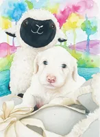 Oakley,cuddle champ!!, a male Sheepadoodle and Poodle - Standard  for sale in Apple Valley, CA – Photo 3 of 10