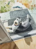 Stormy,incredible!trained, a female Sheepadoodle and Poodle - Standard  for sale in Apple Valley, CA – Photo 3 of 10