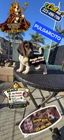 PULGARCITO, a male Beagle for sale in Downey, CA – 1 of 6