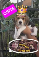 processed/e0ea663a-cadd-436d-9709-52f383afce93/listing/44a82dde-2f73-4f82-9bdb-f4b53a6dd62b/65a893c7-98e5-417a-8e00-9ee96be95d49