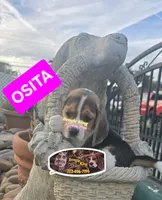 processed/e0ea663a-cadd-436d-9709-52f383afce93/listing/44a82dde-2f73-4f82-9bdb-f4b53a6dd62b/adef5bff-57f9-46a8-9c99-1498f2f0a697