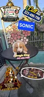 Sonic, a male Beagle for sale in Downey, CA – 5 of 9