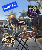HUNTER, a female Beagle for sale in Downey, CA – 5 of 5