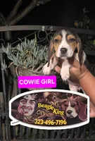 processed/e0ea663a-cadd-436d-9709-52f383afce93/listing/f96d8249-51e9-40a9-a5a3-c321591fc04a/122e7e4c-4d98-435a-b8bf-6b5acd10f9d9