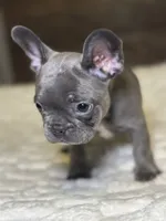 processed/e0eba9d0-5149-4da4-9ed5-071b4ea2698a/listing/565e6058-3bd0-4883-a828-3d9135dd53b8/0074d9ce-a7db-45ec-a510-85e3dbf9038b