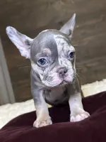 processed/e0eba9d0-5149-4da4-9ed5-071b4ea2698a/listing/720bfe21-aca6-4a25-afa1-e8e44fc1c9bc/ebadcf88-cf07-4ce8-a2b5-8cbea7d1c54d