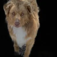 processed/e0fa93bb-9fd6-46c6-ba95-a992959405c6/facility/23335fc3-cae7-4e15-a01f-8ee4336b47c8