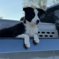 processed/e0fa93bb-9fd6-46c6-ba95-a992959405c6/facility/31d07402-8097-40eb-bcbf-d4c2e957006c