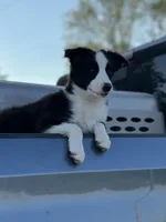 processed/e0fa93bb-9fd6-46c6-ba95-a992959405c6/facility/31d07402-8097-40eb-bcbf-d4c2e957006c