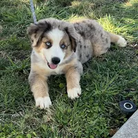 processed/e0fa93bb-9fd6-46c6-ba95-a992959405c6/facility/3b1768fc-cba0-40be-8d8b-2be7e71de1d7