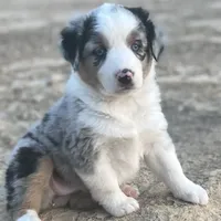 processed/e0fa93bb-9fd6-46c6-ba95-a992959405c6/facility/3e4d9912-a590-4e7f-ae9e-f62464218d5a