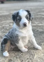 processed/e0fa93bb-9fd6-46c6-ba95-a992959405c6/facility/3e4d9912-a590-4e7f-ae9e-f62464218d5a