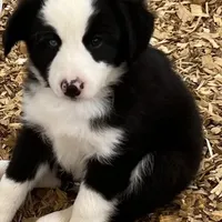 processed/e0fa93bb-9fd6-46c6-ba95-a992959405c6/facility/c11e32d0-f6cd-4e96-b583-0f16c5324288