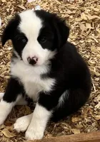 processed/e0fa93bb-9fd6-46c6-ba95-a992959405c6/facility/c11e32d0-f6cd-4e96-b583-0f16c5324288