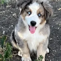 processed/e0fa93bb-9fd6-46c6-ba95-a992959405c6/facility/c352102b-23ea-4ec7-bc65-64ee76b9beb5