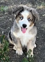 processed/e0fa93bb-9fd6-46c6-ba95-a992959405c6/facility/c352102b-23ea-4ec7-bc65-64ee76b9beb5