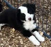 processed/e0fa93bb-9fd6-46c6-ba95-a992959405c6/facility/c88a9a21-0a1d-4972-ba8b-e22cc9766d2e