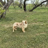 processed/e0fa93bb-9fd6-46c6-ba95-a992959405c6/facility/d5622e9c-cb12-402a-a1f3-39bb9082864d