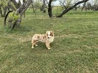 processed/e0fa93bb-9fd6-46c6-ba95-a992959405c6/facility/d5622e9c-cb12-402a-a1f3-39bb9082864d