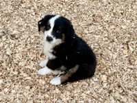 processed/e0fa93bb-9fd6-46c6-ba95-a992959405c6/listing/483f0bc4-85f2-4caf-851e-071026473f19/2af26e16-b476-456d-ba97-08c0387bfdd1