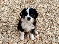 processed/e0fa93bb-9fd6-46c6-ba95-a992959405c6/listing/483f0bc4-85f2-4caf-851e-071026473f19/7900433b-8e9b-46b5-9c20-f393b3ae44c4